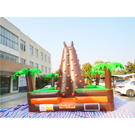 Inflatable Rock Climbing Wall