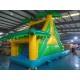 Water Slide Tropical