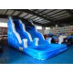 Inflatable Dolphin Water Slide