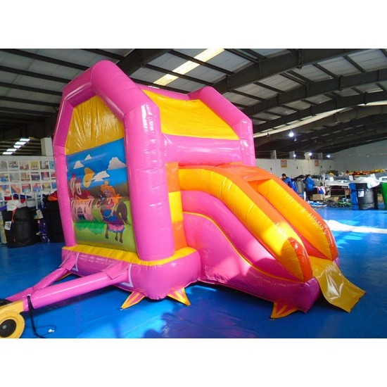 Bouncy Castle Midi Multifun Prinses